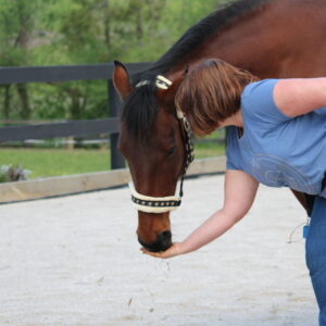 Food for Training Introductory Course